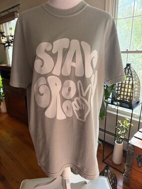 Comfort Colors Sage Green SOFT Crewneck Boxy Tee — Comfort Colors